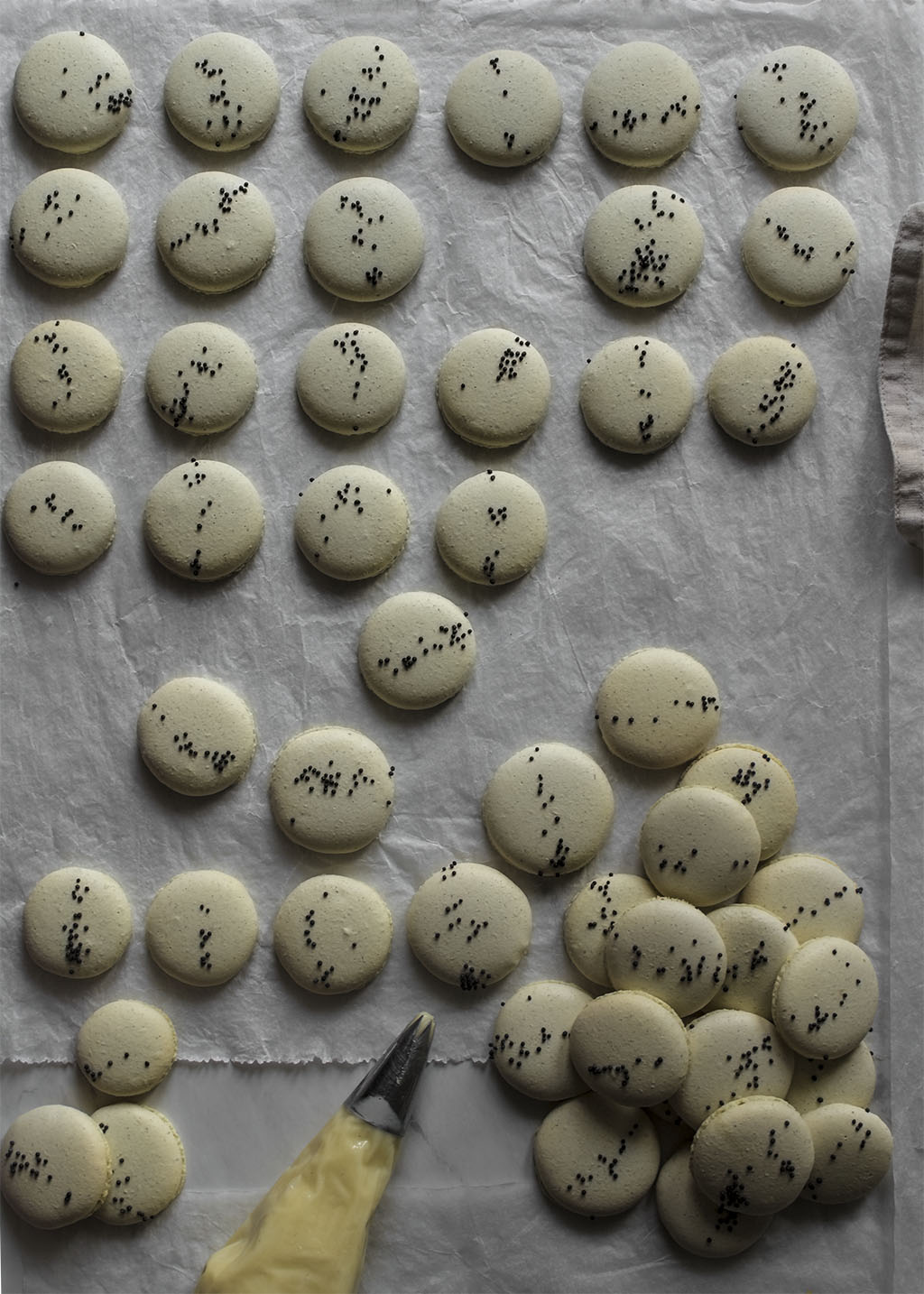 Macarons vainilla. Receta de macarons. Cómo hacer macarons
