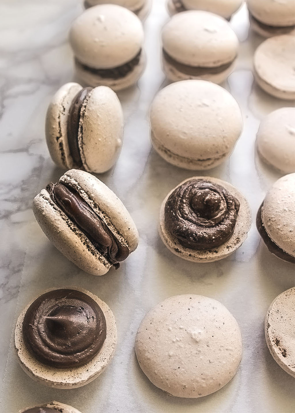 Avellanas, macarons de avellanas, crema casera de avellanas